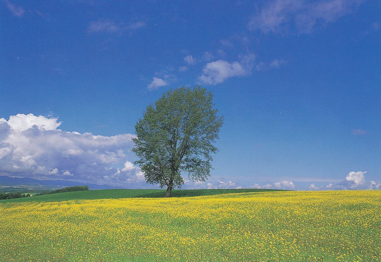 Отель Furano La Terre Nakafurano Экстерьер фото